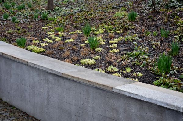 Concrete Wall Construction in Odessa