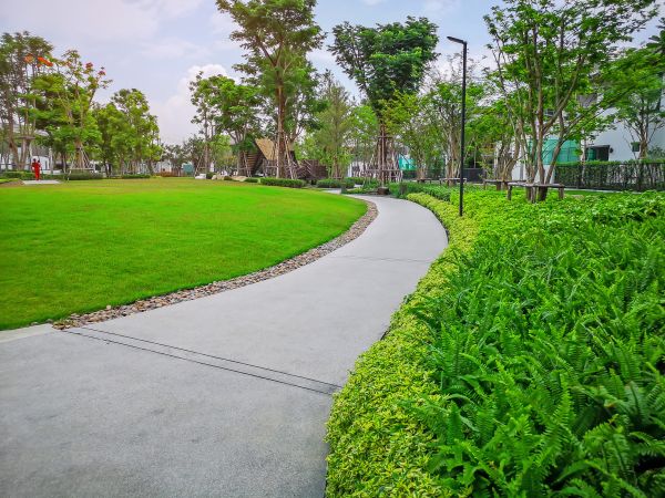 Cement Walkway Service in Odessa