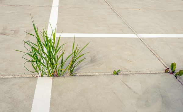 Concrete Parking Installation in Odessa
