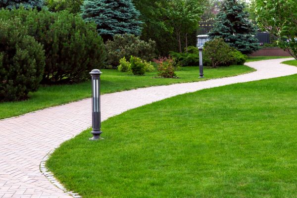 Backyard Sidewalk Installation in Odessa